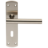 Residential T Bar Lever on Backplate