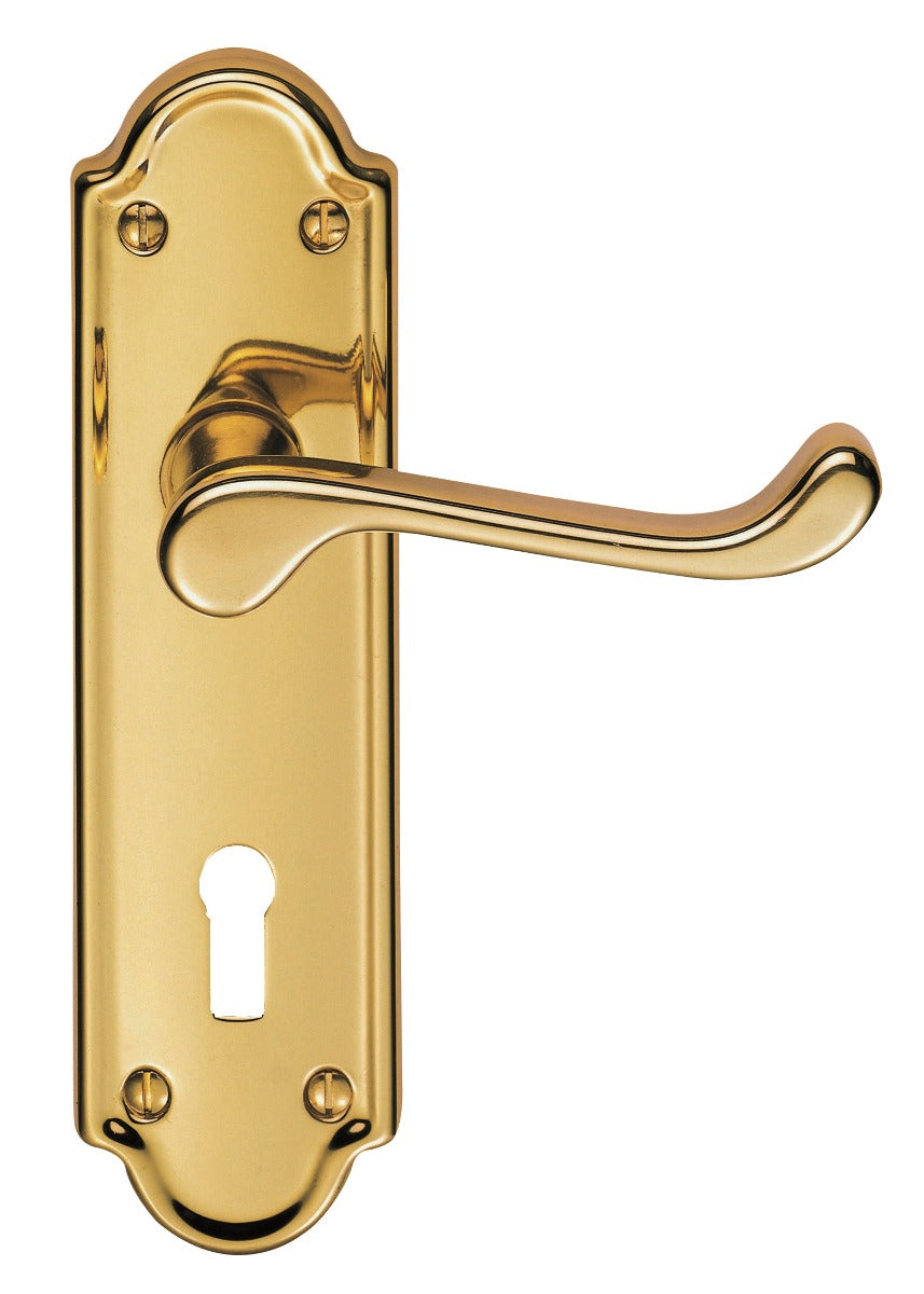 Ashtead Lever on Backplate