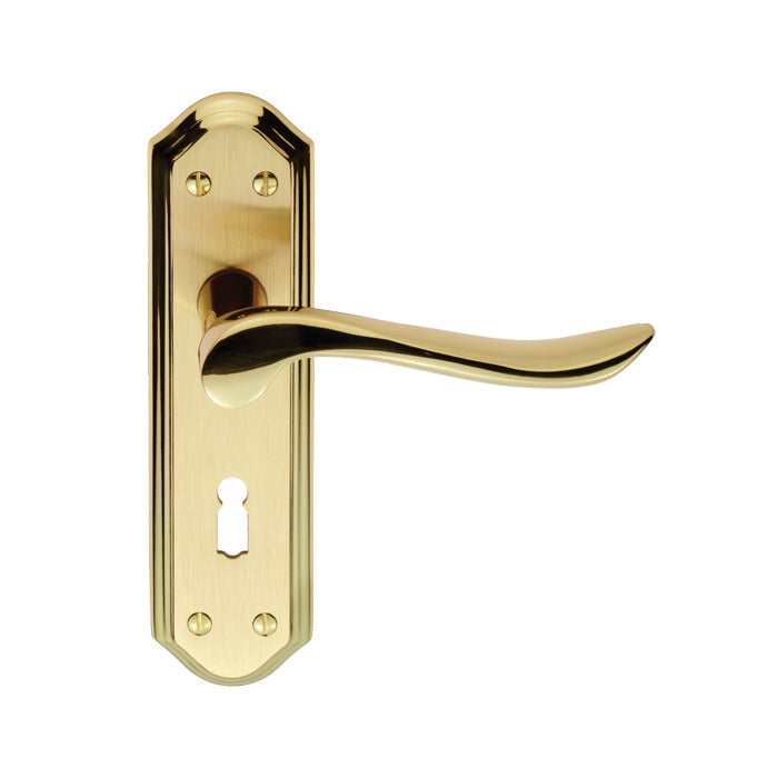 Lytham Lever on backplate