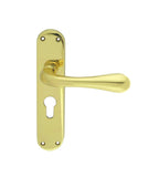 Astro Lever on Backplate
