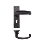 Traditional Slimline Thumb Lever on Lock Backplate -