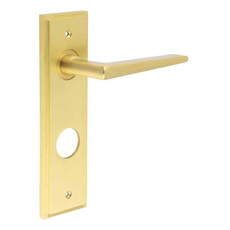 Mayfair Door Handle Din Bathroom Backplate Satin Brass