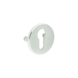 CRES Satin Stainless Steel Euro Escutcheon Lug Fixed