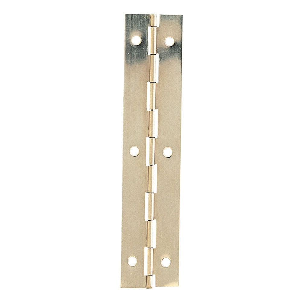 Piano Hinges (50 Pack)
