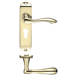 Project Arundel lever on euro backplate - 175mm x 42mm