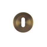 Escutcheon standard profile