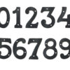 FFNa1