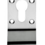 Polished StainlessEurospec Euro Profile Cylinder Pulls - Satin Stainless Steel Steel