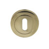 Standard Profile Escutcheon,
