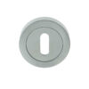 Standard Profile Escutcheon,