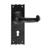 Ludlow Foundries Traditional Door Handles On Backplate