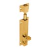 Heavy Barrel Bolt Straight -100x38mm