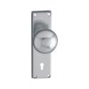 Lever on Back Plate Victorian -  Lever Eurofile -150x40mm