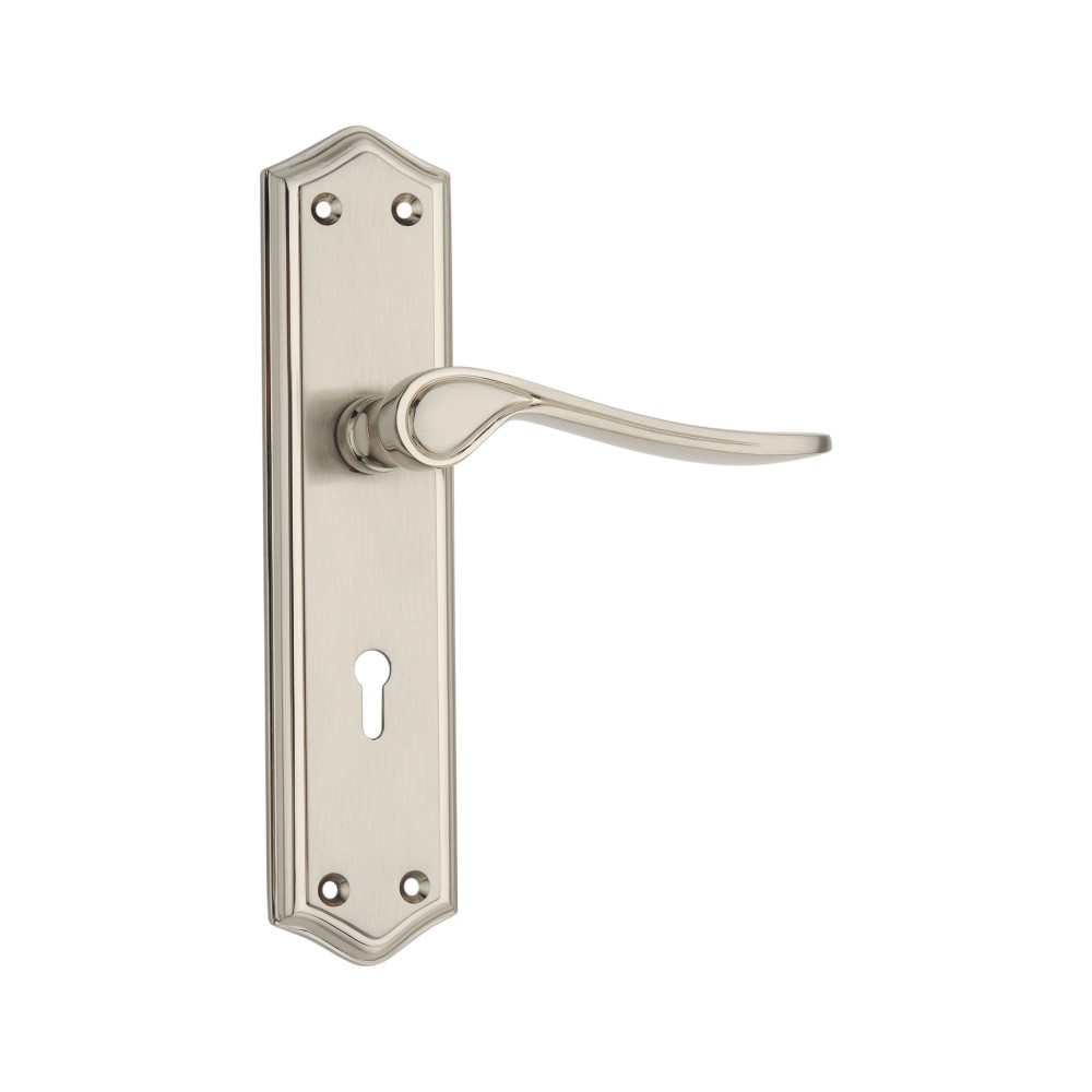 Lever On Backplate Shape – Lever Lock