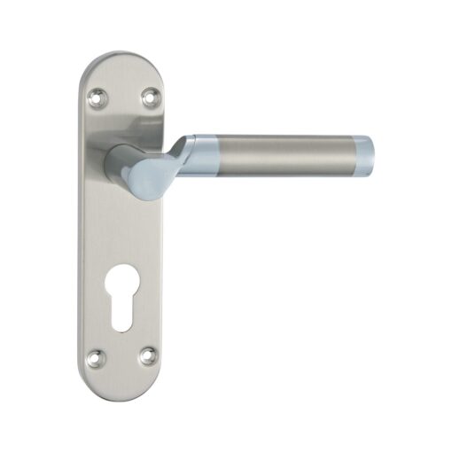 Lever Latch on back plate 170mm x 40mm x 125mm