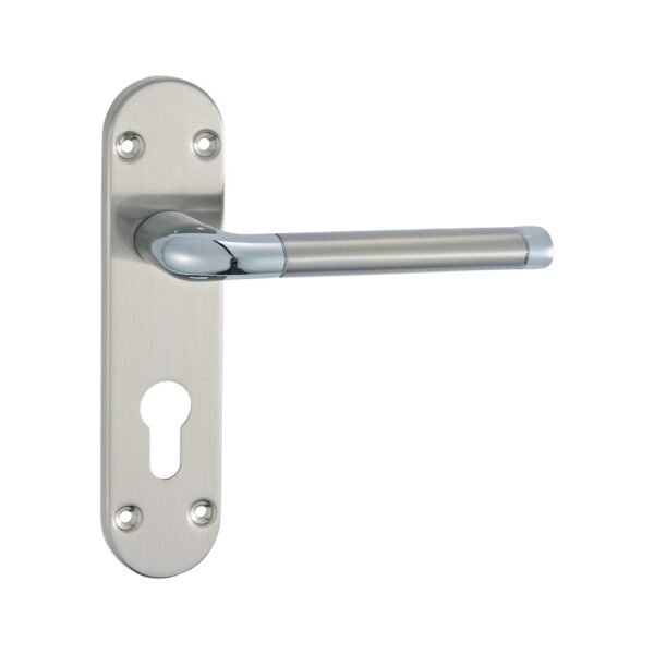 Lever Lock on back plate 170mm x 40mm x 125mm