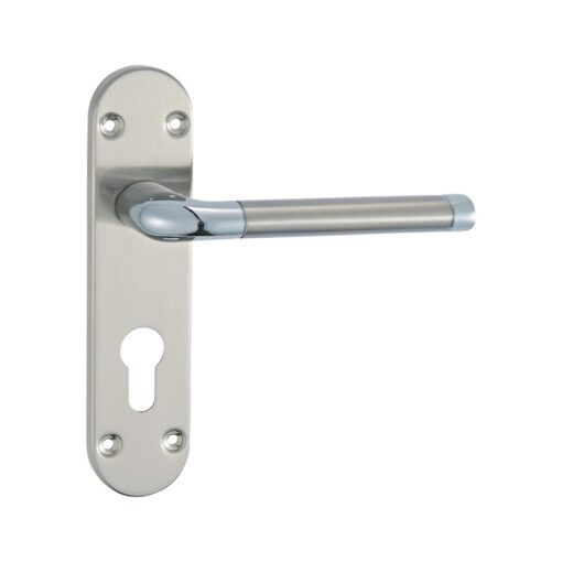 Lever Latch on back plate 170mm x 40mm x 125mm