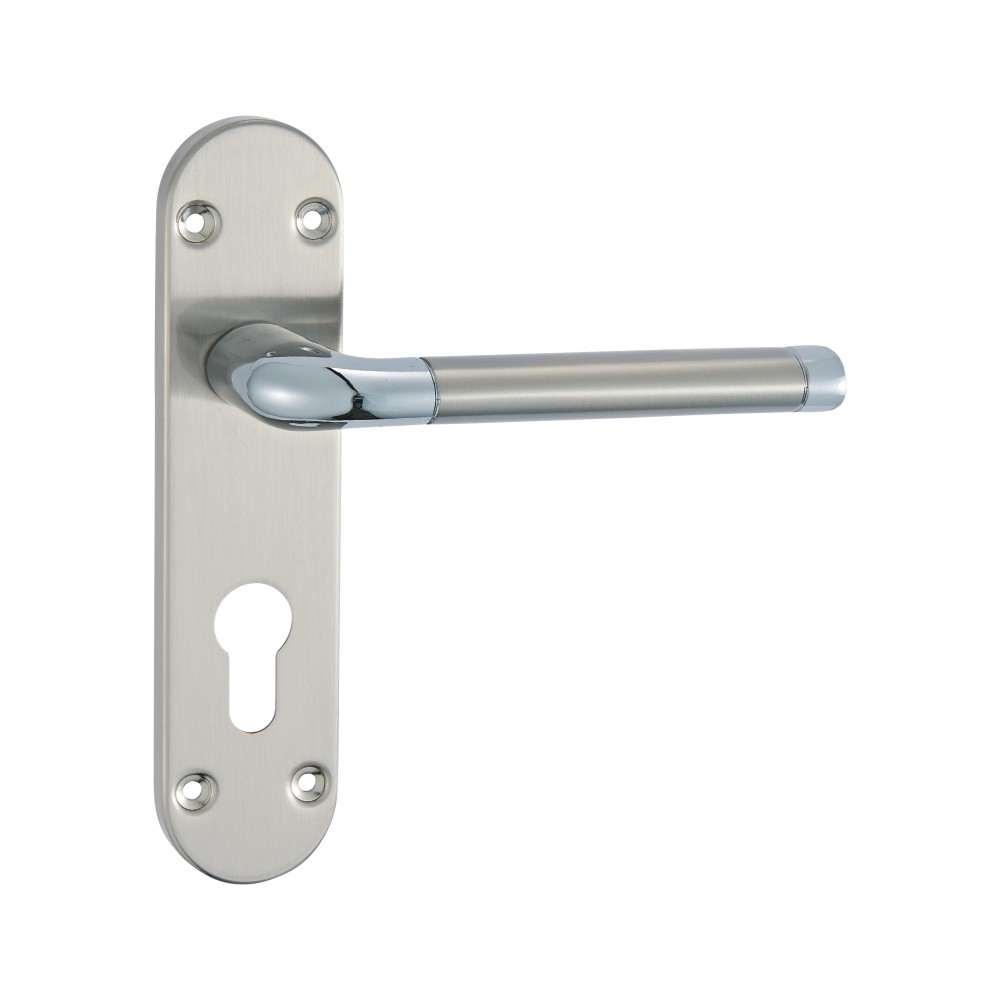Lever Latch On Back Plate 170mm X 40mm X 125mm