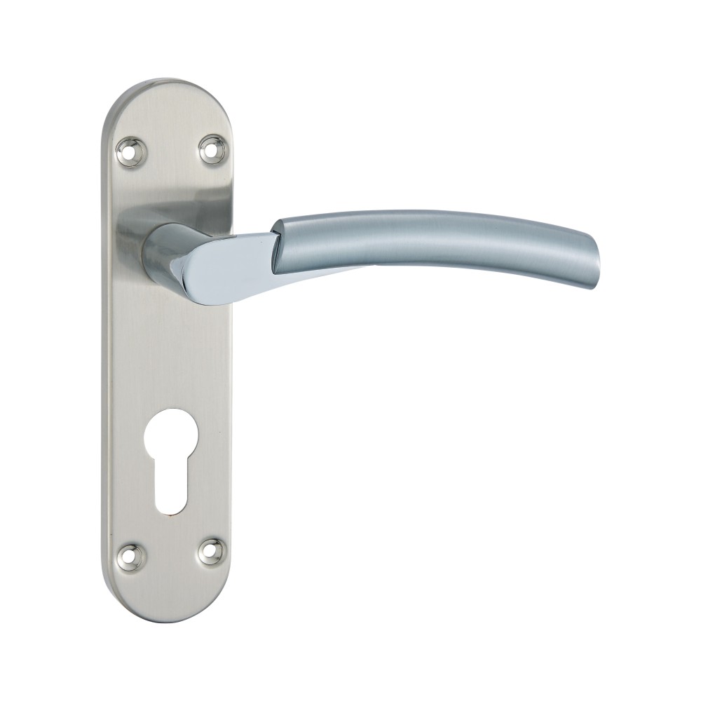 Lever Lock On Back Plate 170mm X 40mm X 130mm