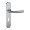 SS Handle On Backplate -245 x 45 x - 10mm Thickness - 135mm Handle