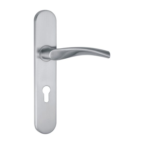 SS Handle On Backplate -245 x 45 x - 10mm Thickness - 130mm Handle