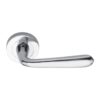 Lever on Rose-  Designer Range