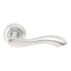 Lever on Rose-  Designer Range