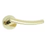 Curve Door Handle on Rose PVD Brass