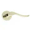 Turin Door Handle on Rose PVD Brass