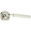 Elise Door Handle on Rose Polished Nickel
