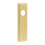 200x55mm SB latch back plates for lever on rose