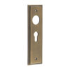 200x55mm AB Euro 47.5mm C/C back plates for lever on rose