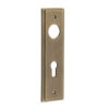 200x55mm ab Euro 72mm C/C back plates for lever on rose