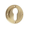 SB inner escutcheon euro profile