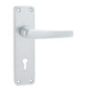 153x40mm SAA lever lock 