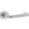 52x8mm SAA Lever on rose 