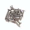 ASS1023 HIN HINGE METAL PACK (16) M6 X 16MM SMALL HEAD PZ2