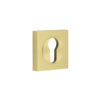 Burlington Euro Profile Escutcheons Square Plain Rose Satin Brass