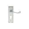 CARLISLE BRASS - DL54YSC VICTORIAN SCROLL LEVER ON BACKPLATE - LOCK EURO PROFILE 47.5MM C/C