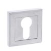 STATUS Euro Escutcheon on Square Rose - Satin Chrome