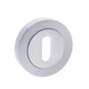 STATUS Key Escutcheon on Round Rose - Satin Chrome/Polished Chrome