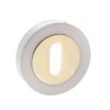 STATUS Key Escutcheon - Satin Nickel/Polished Brass