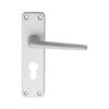 CARLISLE BRASS - SAA21Y-BP ALUMINIUM LEVER ON BACKPLATE - LOCK EURO PROFILE 47.5MM C/C