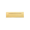CARLISLE BRASS - SWE1036S-PVD 257 X 80 X 3MM LETTER PLATE G316 (220MM C/C)