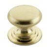 Zoo Hardware TDFK24-PG Round Cabinet knob 24.2mm Dia. Polished Gold Finish