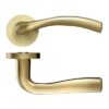 Zoo Hardware ZPZ050-FSB Siena Door Handle - Screw On Rose - Favo Satin Brass