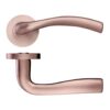 Zoo Hardware ZPZ050-TRG Siena Door Handle - Screw On Rose - Tuscan Rose Gold