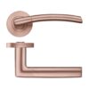 Zoo Hardware ZPZ140-TRG Olympus Door Handle on round rose Rose Gold
