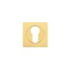 Zoo Hardware ZPZSQ001-FSB Square Escutcheon - Euro Profile Pvd Satin Brass