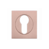 Zoo Hardware ZPZSQ001-TRG Square Escutcheon - Euro Profile Rose Gold